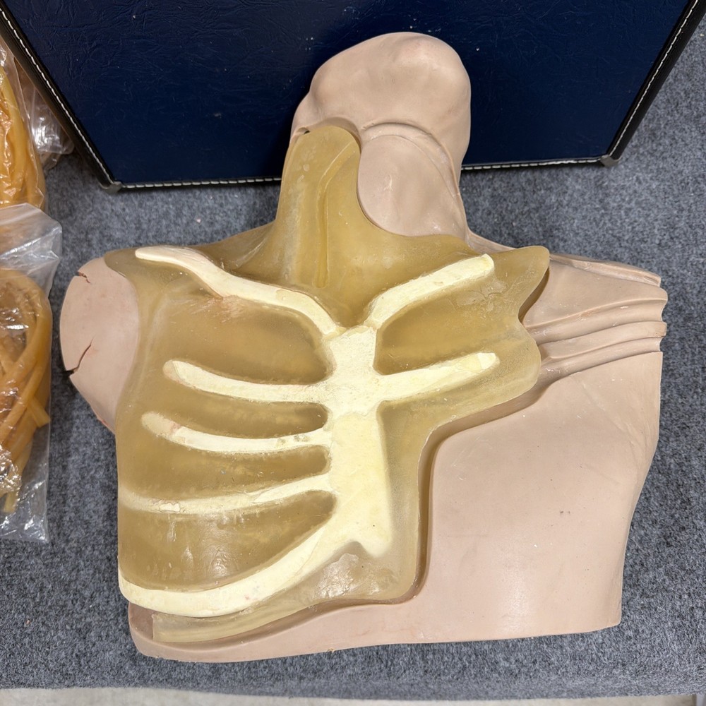 NASCO Life Forms Replica - Central Venous Cannulation Simulator W/ Case & Tubes