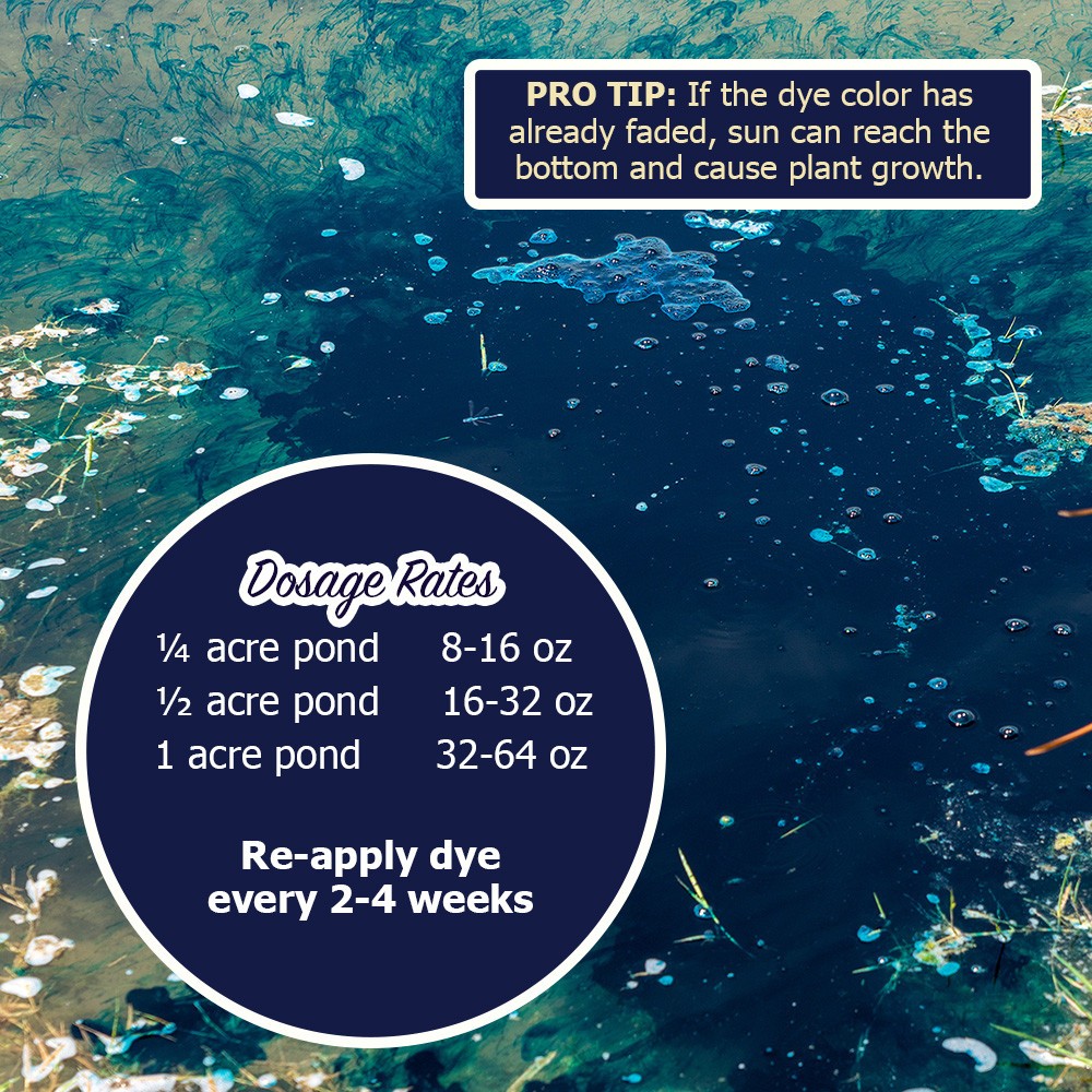 Midnight Blue Pond Dye Concentrated Quart