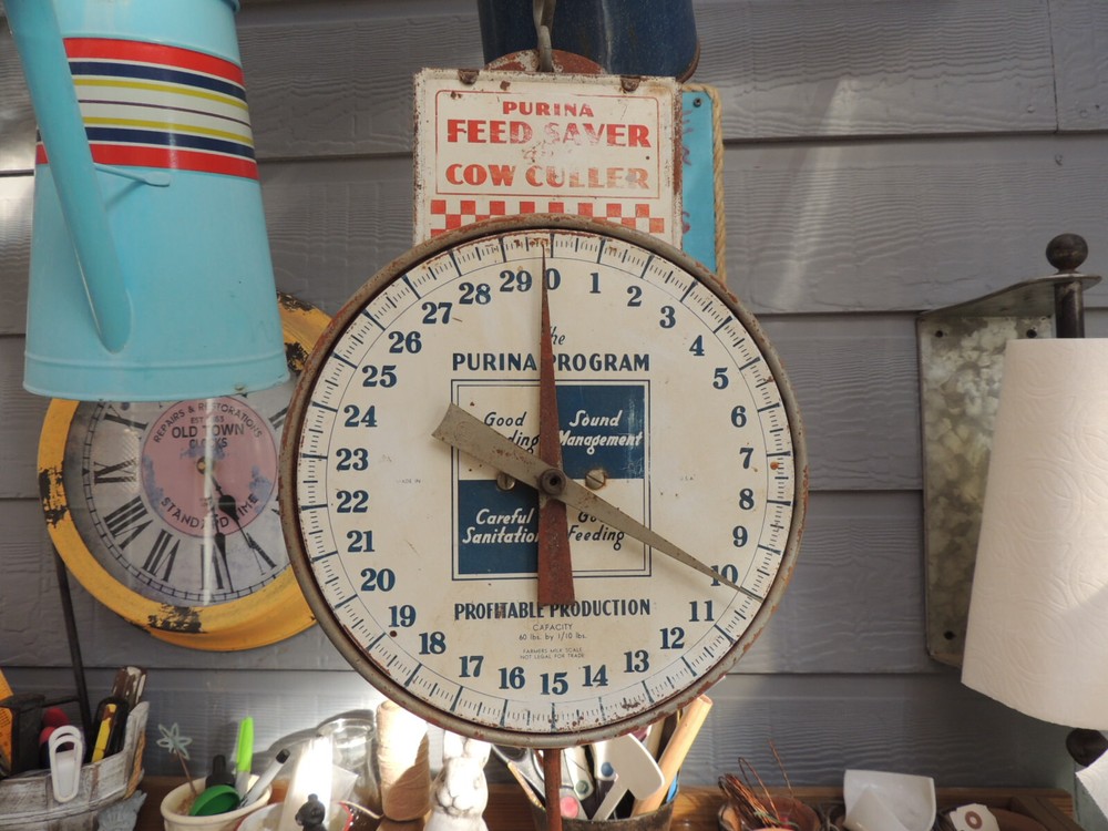 Antique Purina advertising scale