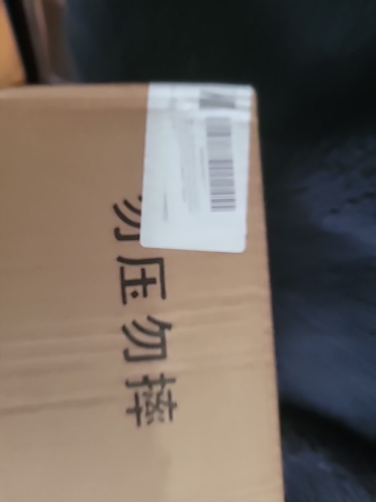 Labubu Clear Protective Display Case