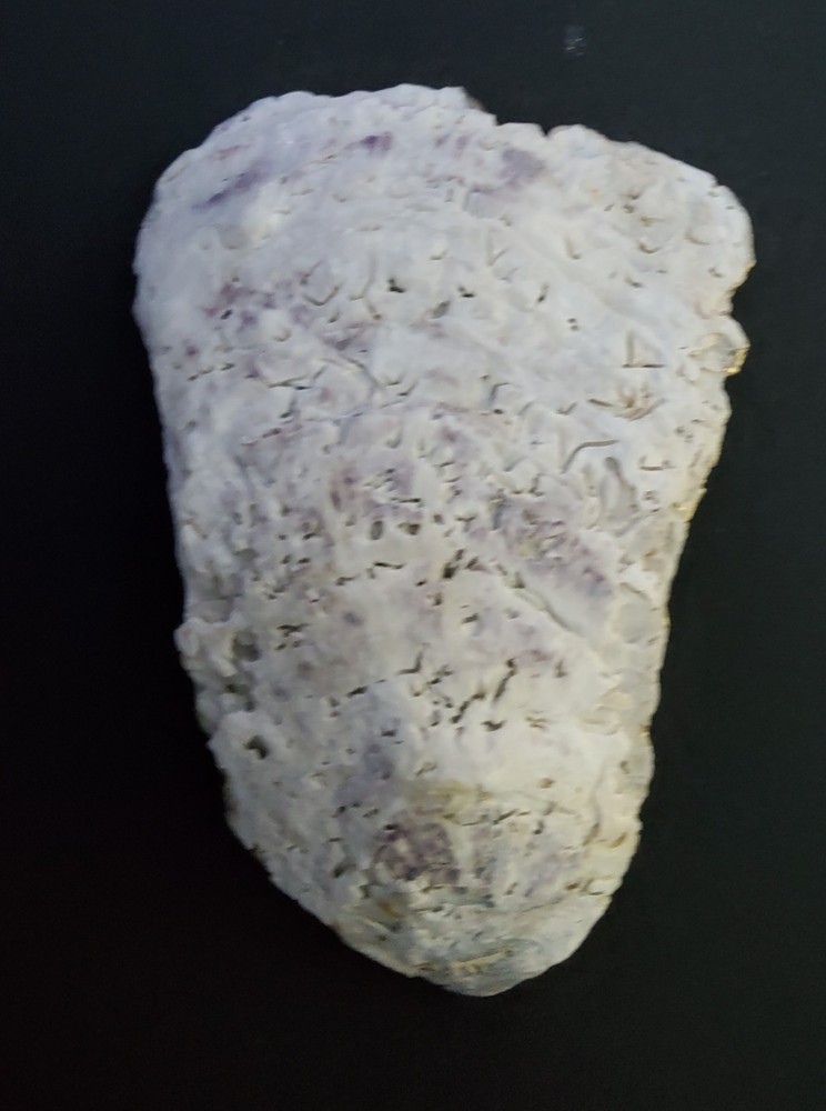 Jekyll Island Decoupaged Oyster Shell