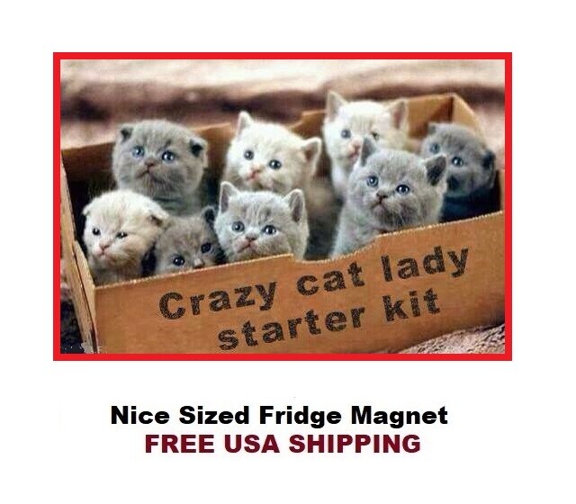 744 -Cute Cat Lady Kit Meme Fridge Refrigerator Magnet