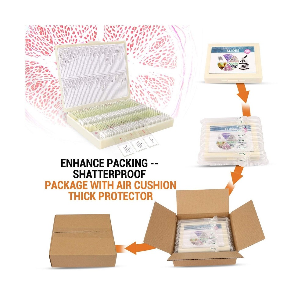 100Pcs Prepared Microscope Slides Set Professional Specimens for Kids Student...