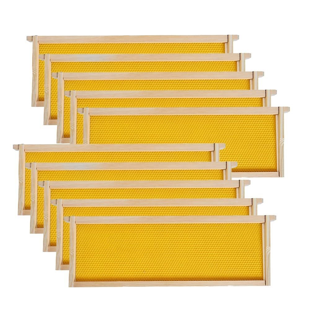 Medium Super Beehive Frames with Wax Foundations 10 Pack Honey Bee Frames New