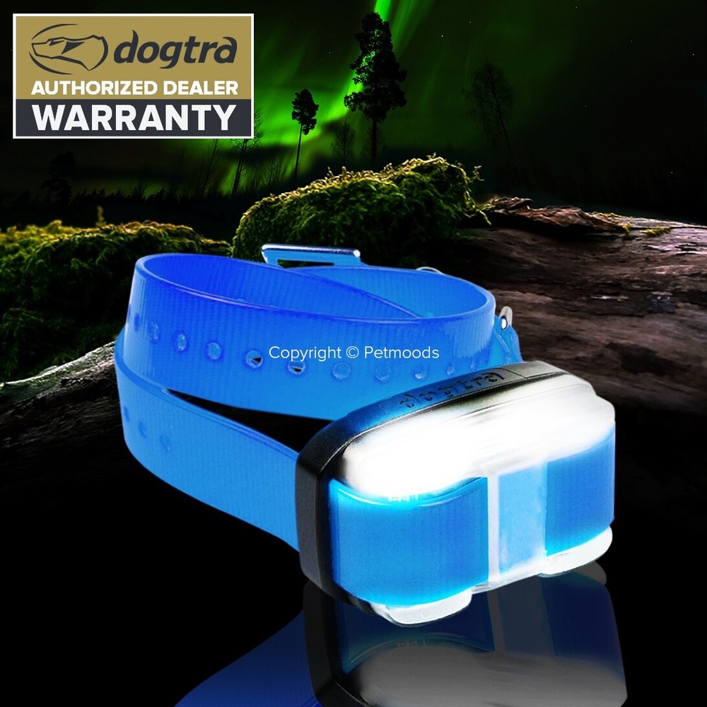 Dogtra Edge Dog Collar Receiver Blue Strap