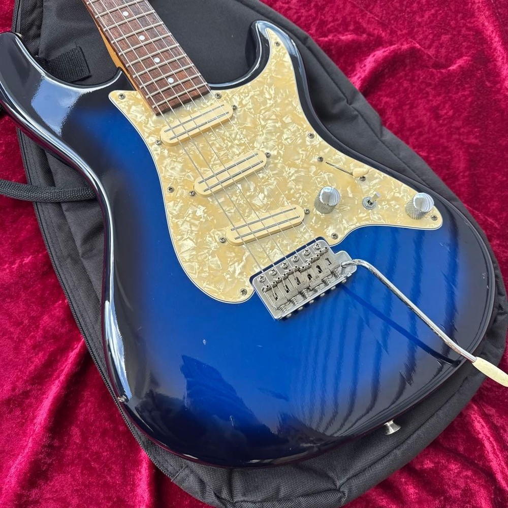 FERNANDES Japan APG-400 Single Ham Case Safe Packing!