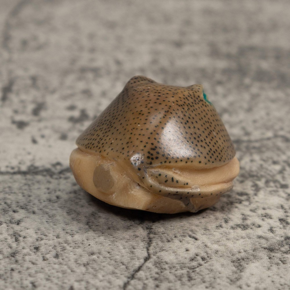Ocean Stingray Tagua Carving