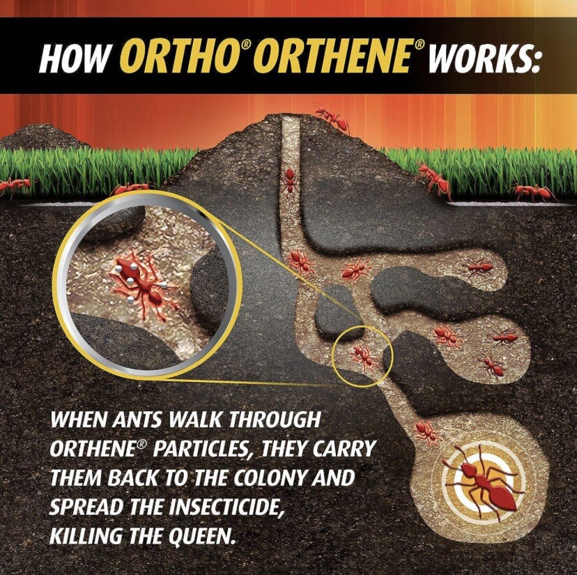 Ortho Orthene Fire Ant Killer 12oz.