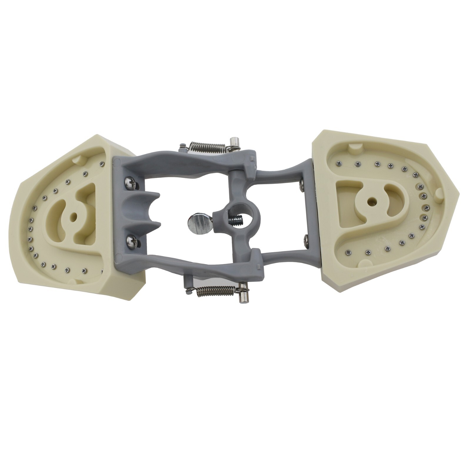 Columbia Dentoform 860 Dental Typodont Model 32pcs Removable Teeth Soft Gingiva