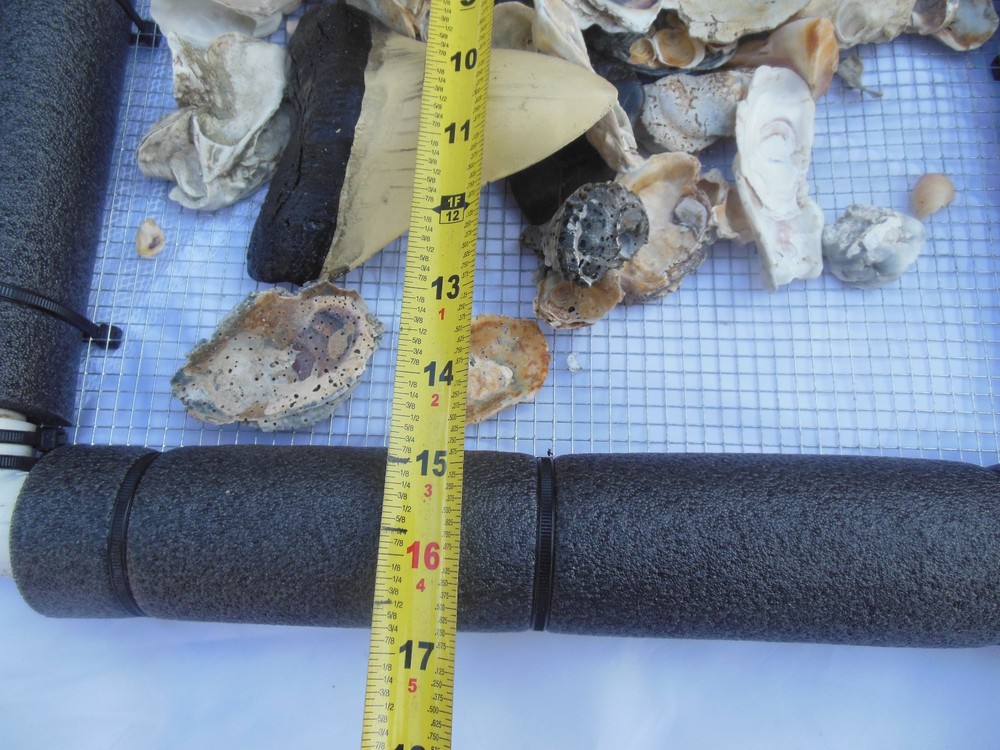 Floating Sifter Shark teeth/ Fossils/ Gems Small