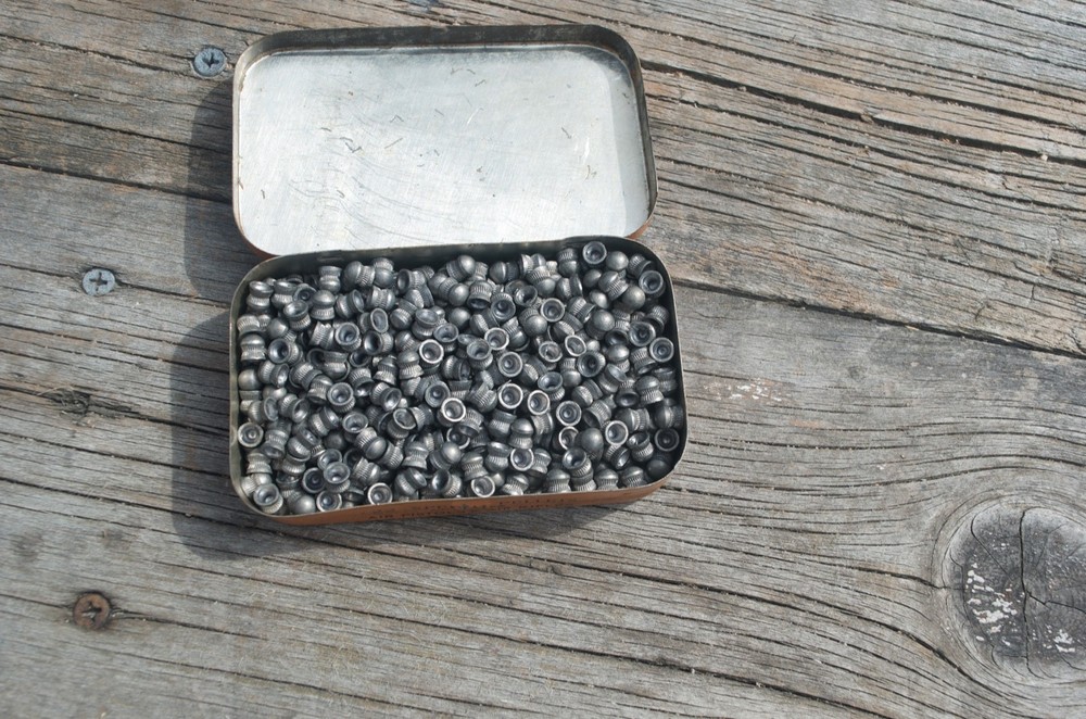 Webley .22 Special Pellets No. 2 Bore