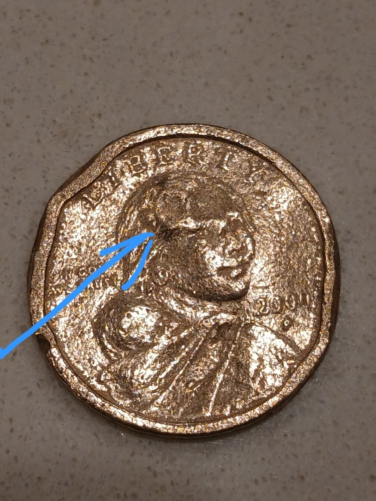 2000p Sacagawea One Dollar Error