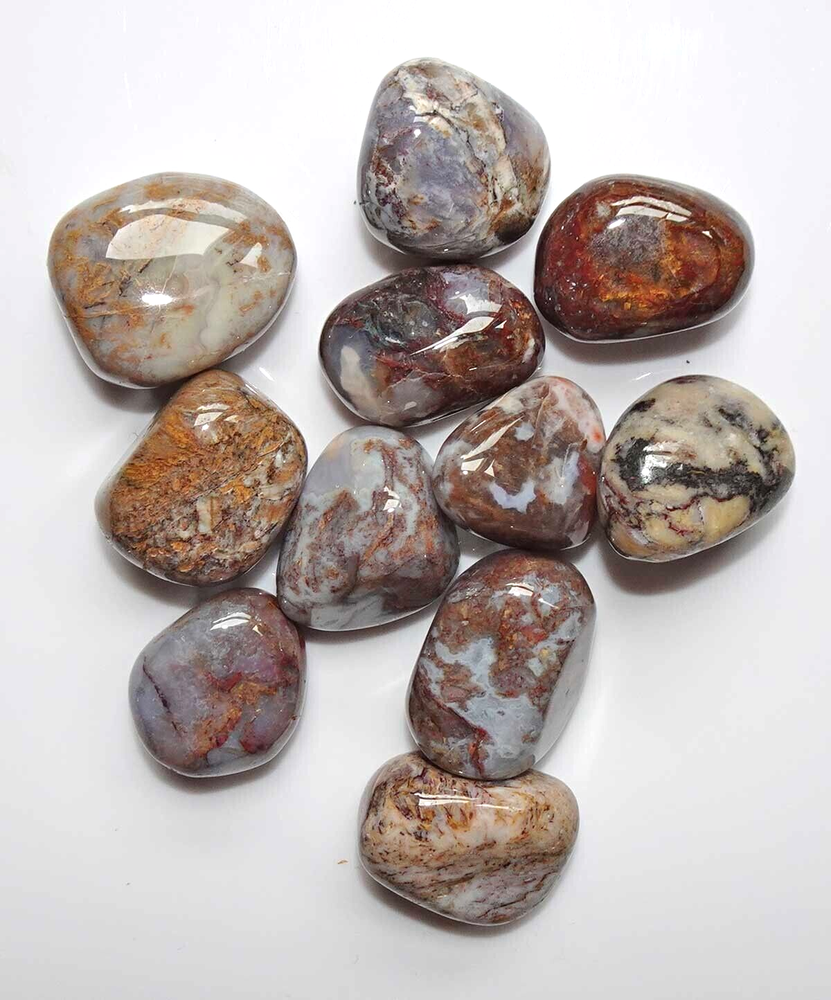 Pietersite - 11 Tumbled Stones rt448u