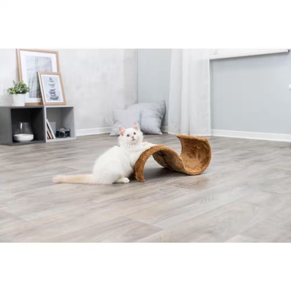 Brown Cat Scratching Wave