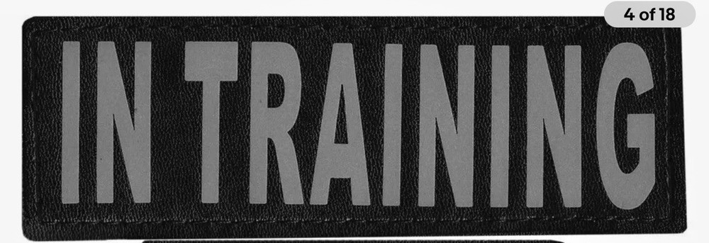 IN TRAINING Service Mesh Vest Removable Reflective Custom Patch Size XL