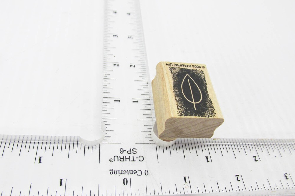 Charcoal Leaf Rubbing Rubber Stamp - Stamp Set G194