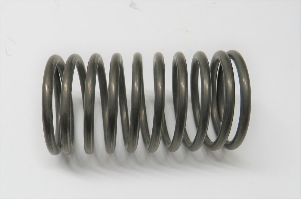 Witte B Exhaust Valve Spring Gas Engine Motor