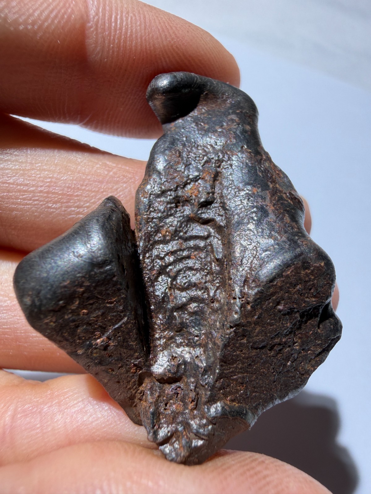 Sikhote-Alin Meteorite 28.25g Special-shaped attractive crust oriented feature