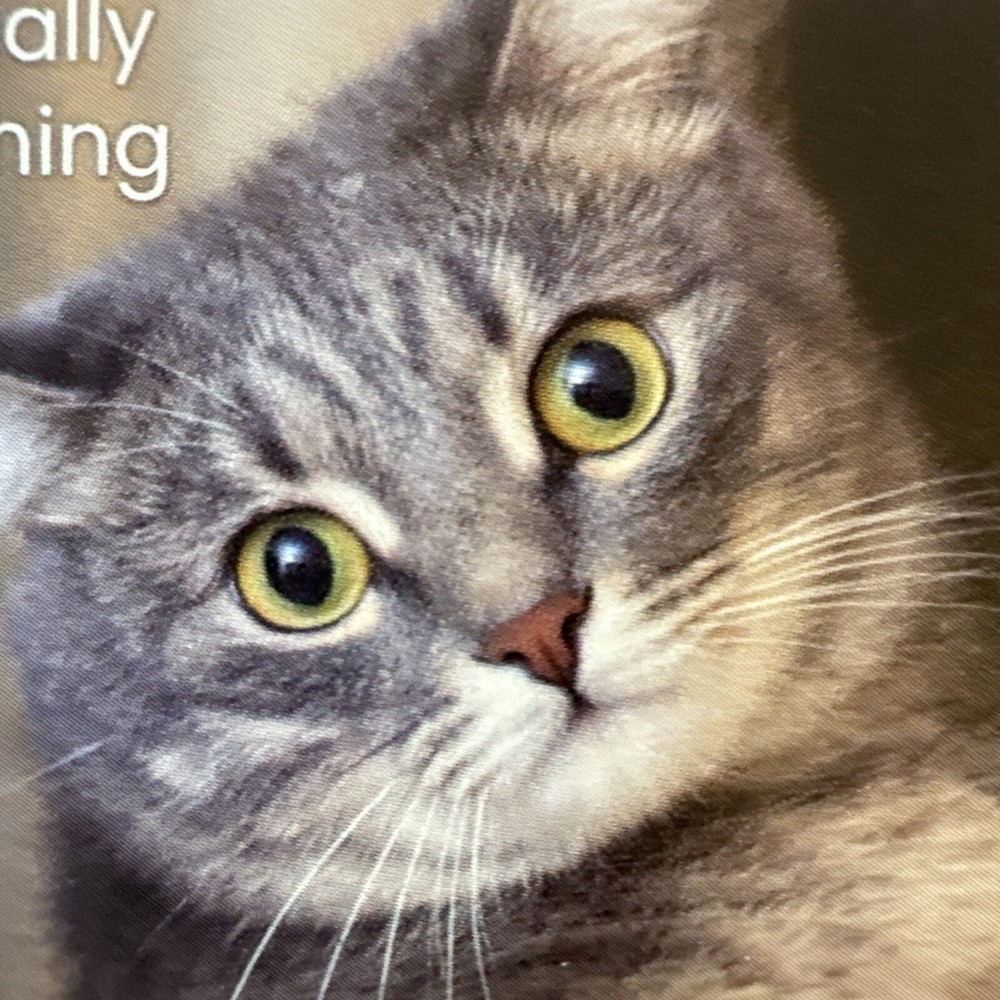 TriOak Cat Calming Diffuser - Feline Anxiety Relief - Pheromone Diffuser 2-1 Fre