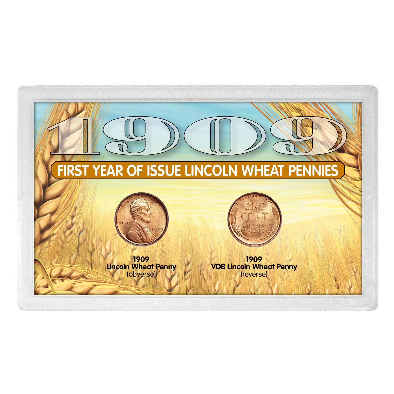 NEW 1909 and 1909 VDB “First-Year of Issue" Lincoln Wheat-Ear Pennies 13749
