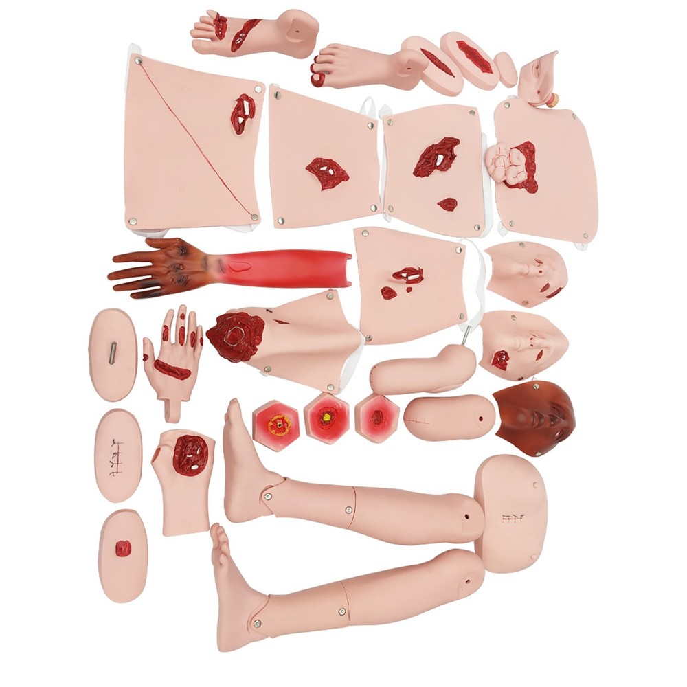 Advanced Patient Care Burn Teaching Anthropomorphic Model Trauma Nursing Model