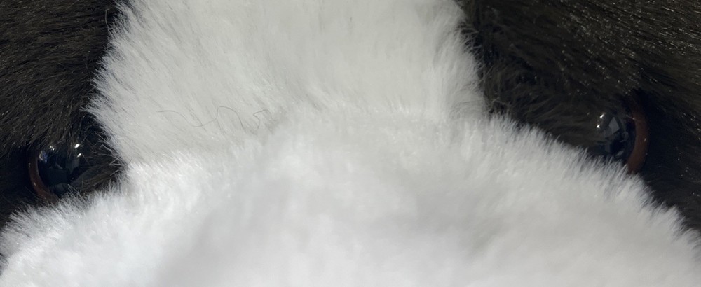 St Bernard Hand Puppet W/Barrel 14"