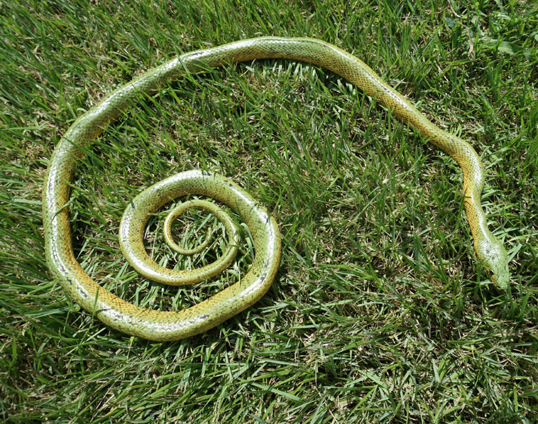 Green Mamba -52" Realistic Snake Replica - Rubber AAA