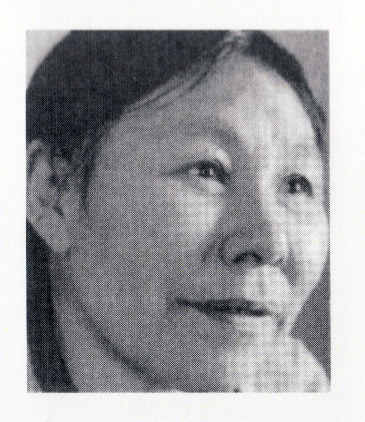 COURTING LOON by Nunavut Inuit artist Kenojuak Ashevak - New 6" x 9" Art Card