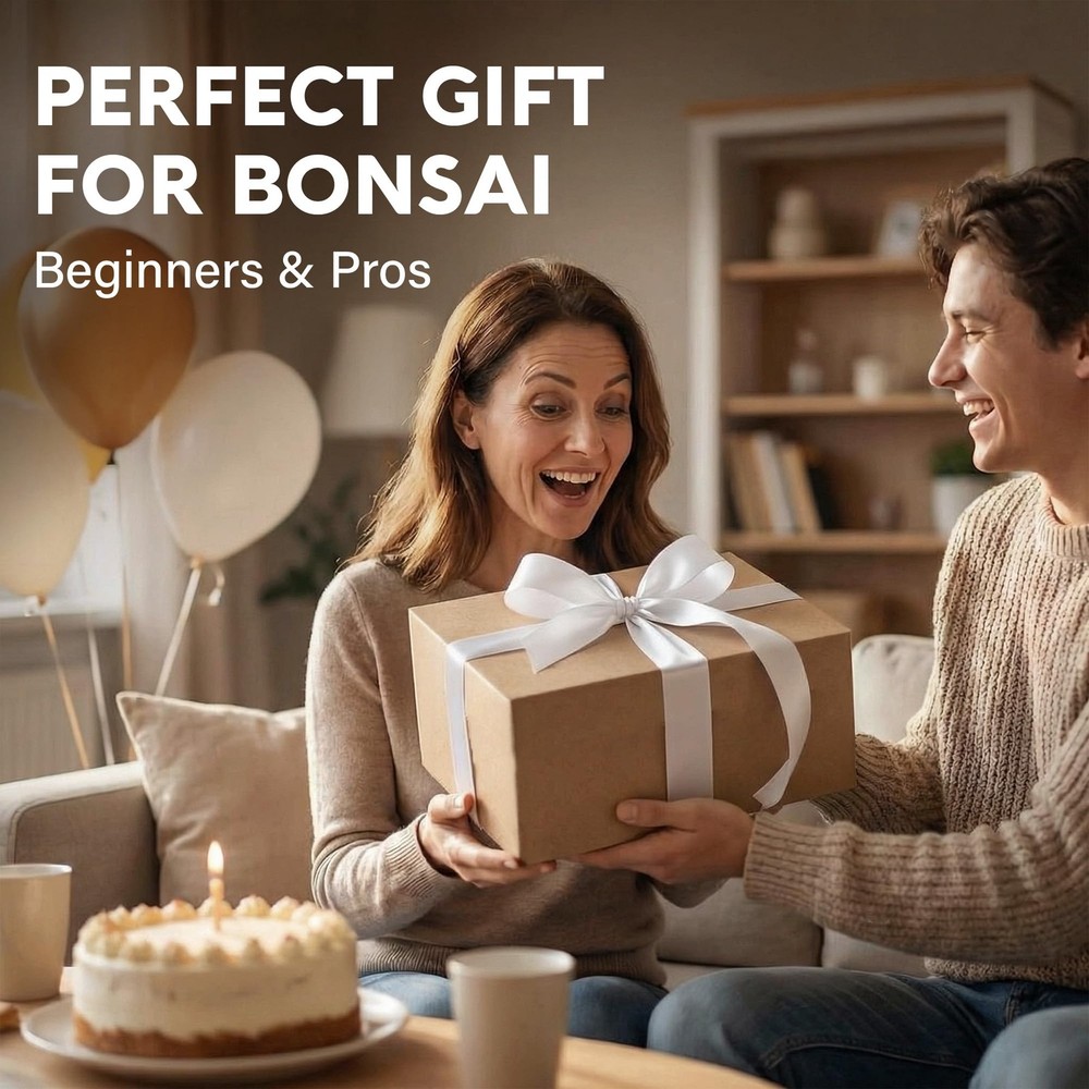 Bonsai Starter Kit – Growing Jacaranda Bonzai Tree | Complete Indoor Tree Kit...