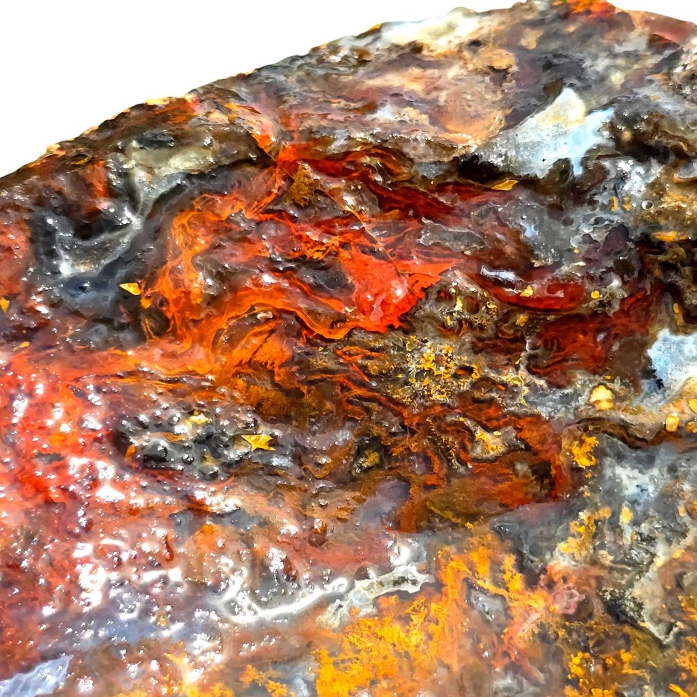 Random Pull San Carlos Agate Lapidary Rough Uncut Chunks