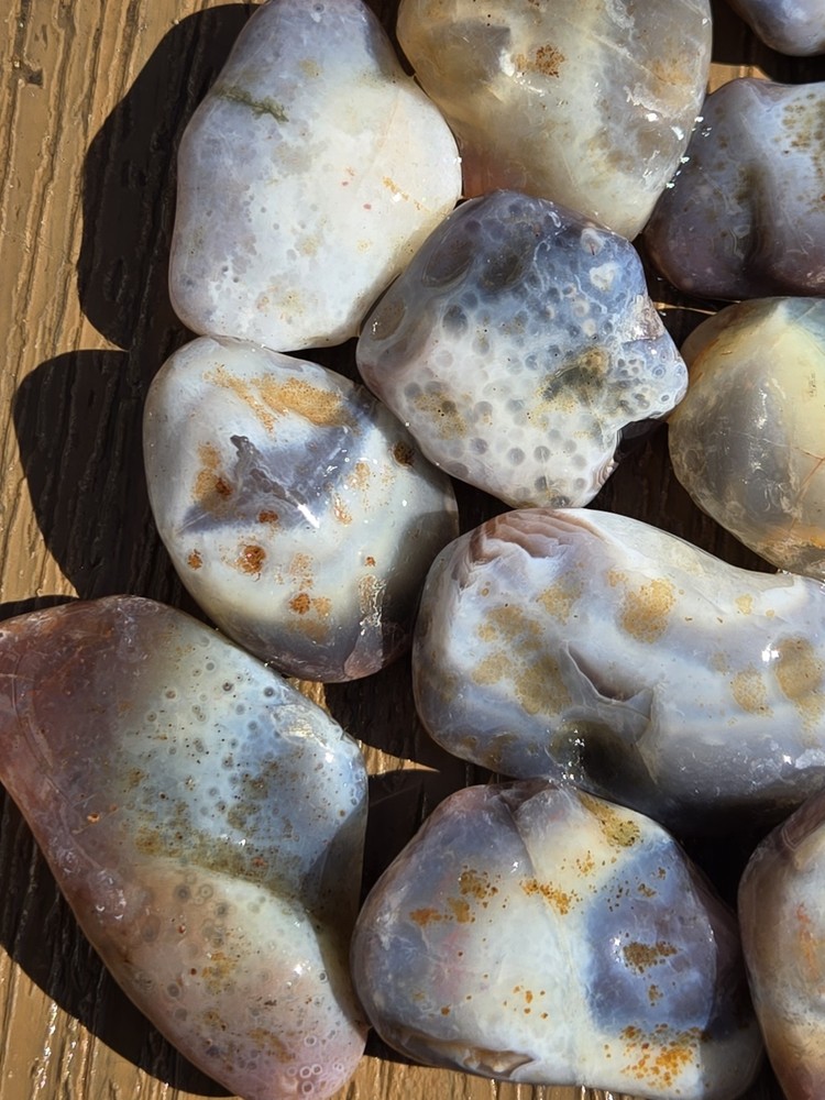 Botswana Agate Selects - UNDERNEATH - Rough, Natural, Not Polished A+ Grade