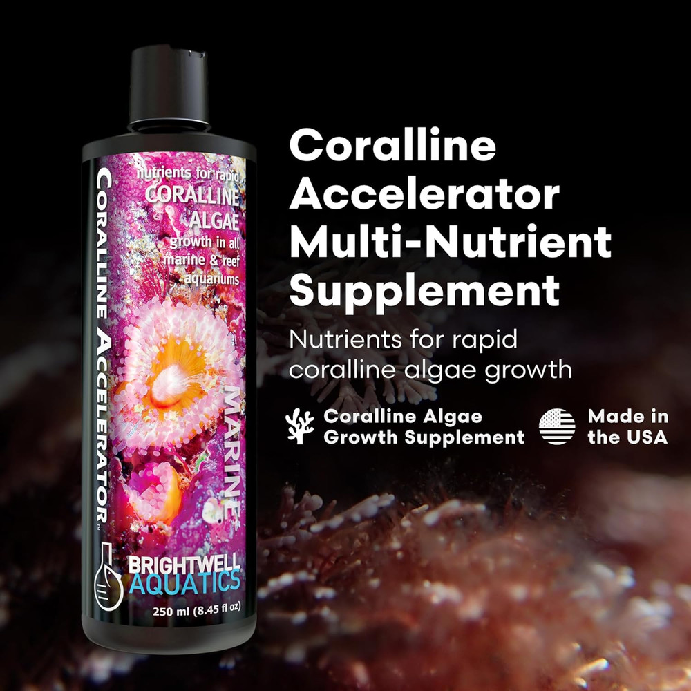 Brightwell Aquatics - Coralline Accelerator - Multi-Nutrient Supplement 250ml