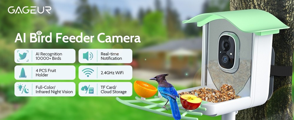 Bird Feeder with Camera, Smart Bird Feeder Camera with Solar Panel, AI Identify