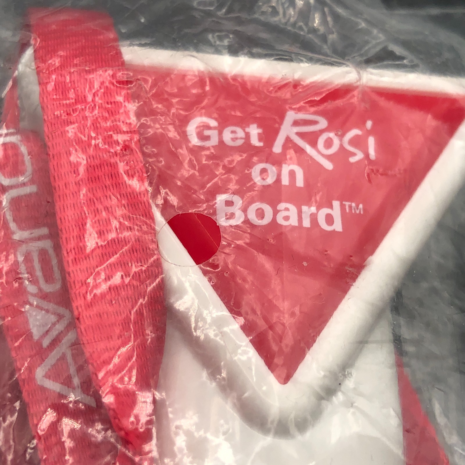 Avandia Pharmaceutical Pharmacy Drug Rep Pen Holder w/Lanyard Give-Away