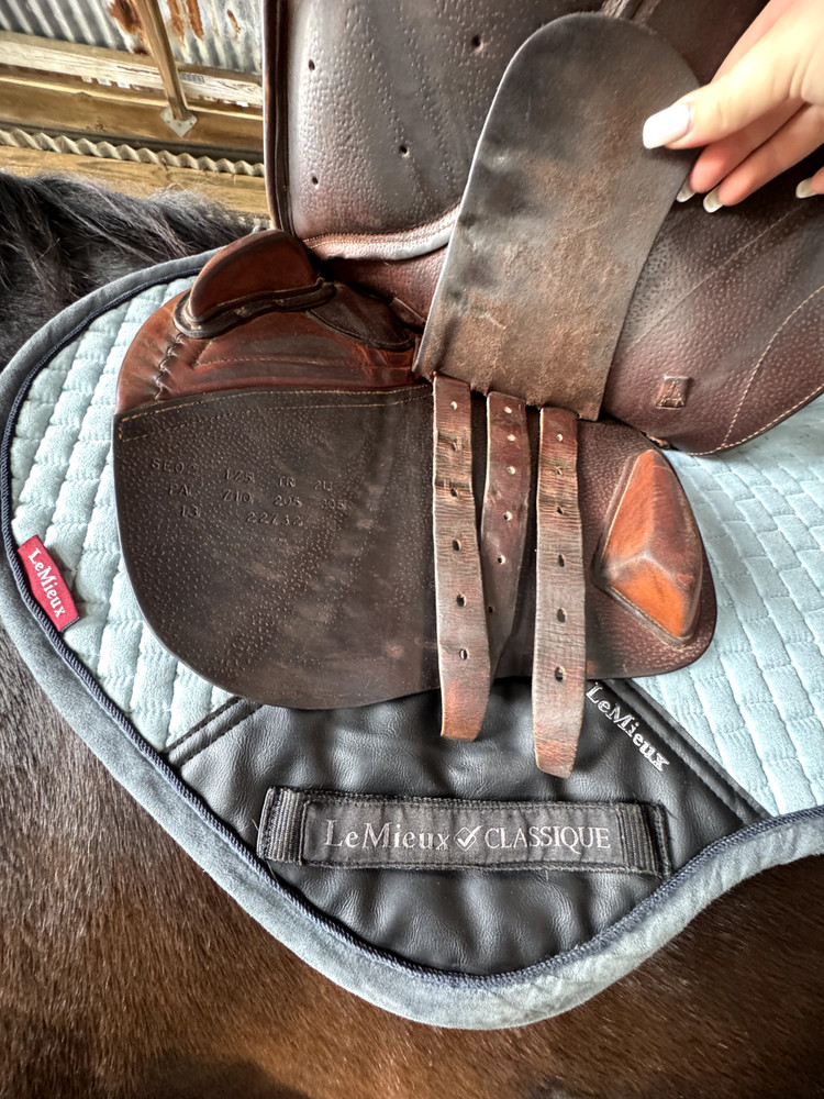CWD Hunter Jumper Saddle 17.5 SE02