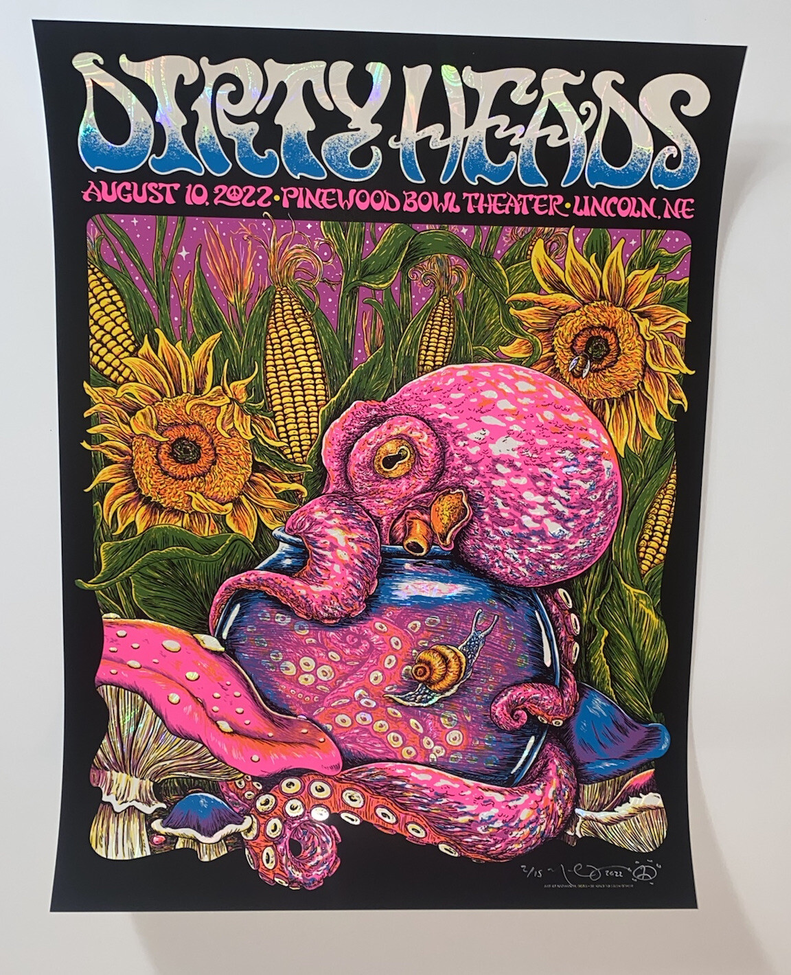 Dirty Heads Poster Lincoln NE 8/10/22 Silkscreen White Swirl Foil S/N Official