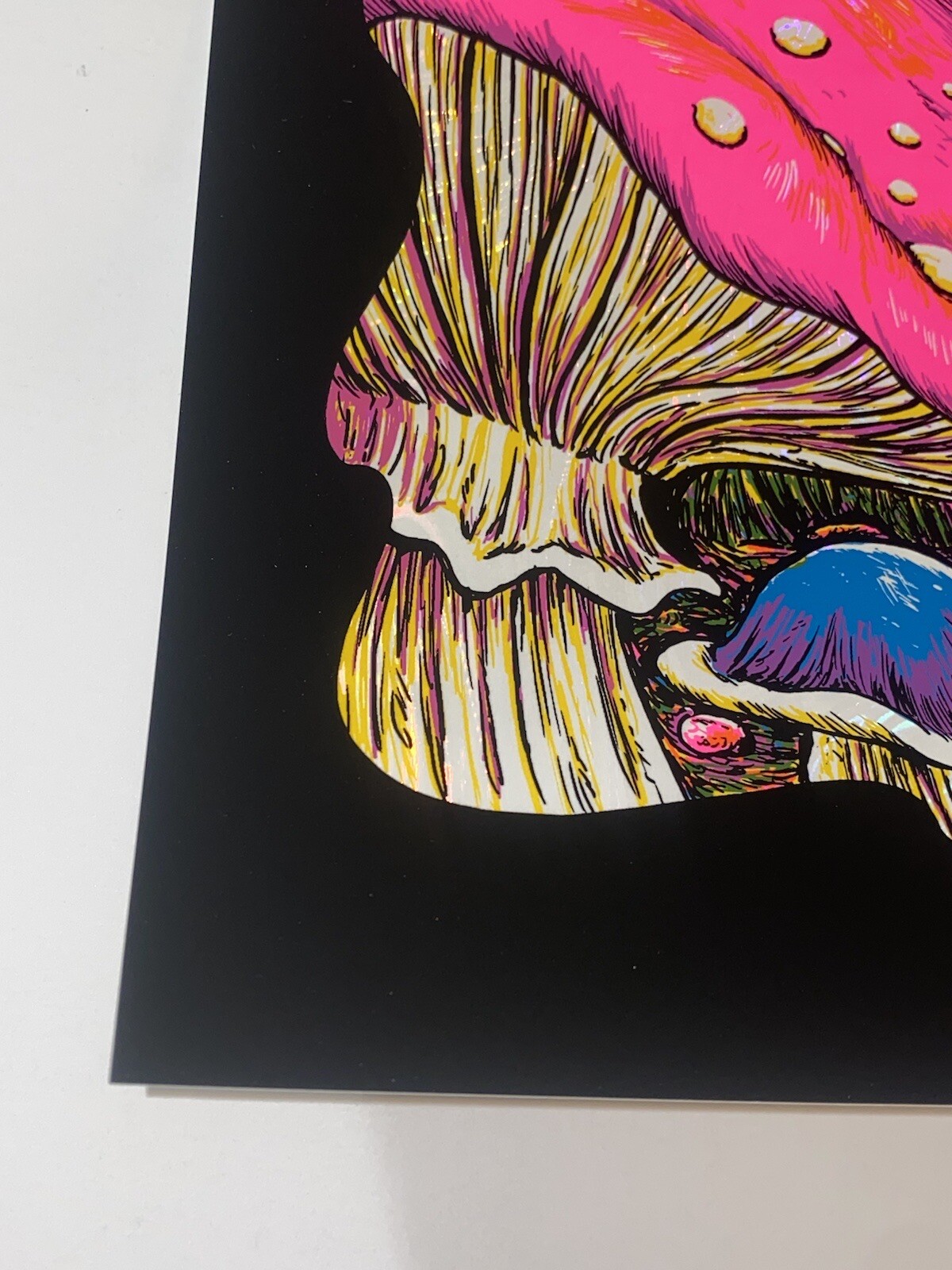 Dirty Heads Poster Lincoln NE 8/10/22 Silkscreen White Swirl Foil S/N Official