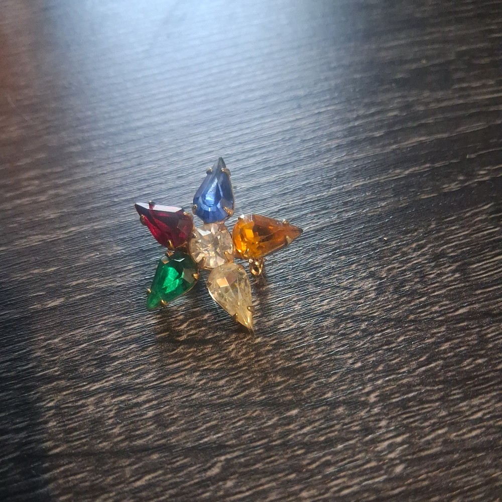 Vintage Masonic Eastern Star pin