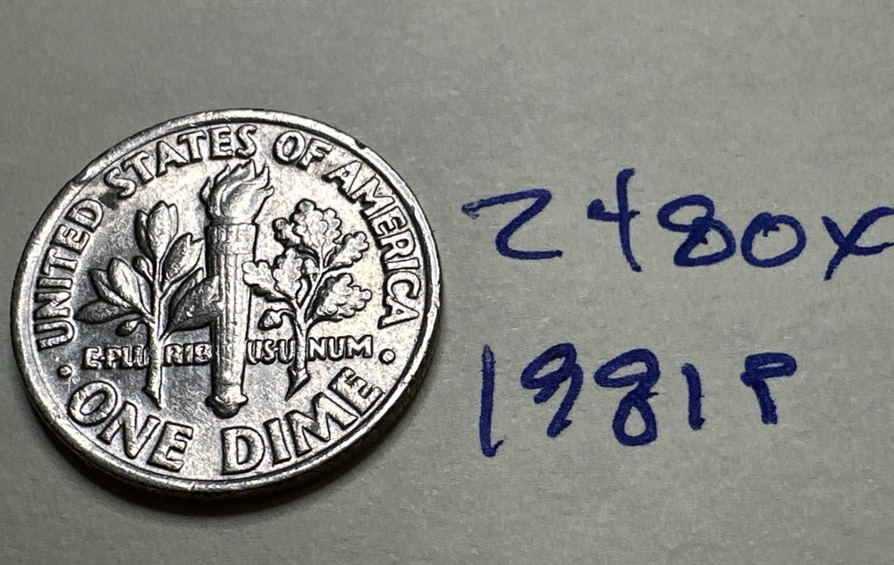 1981 P Roosevelt Dime • 10C 2480X