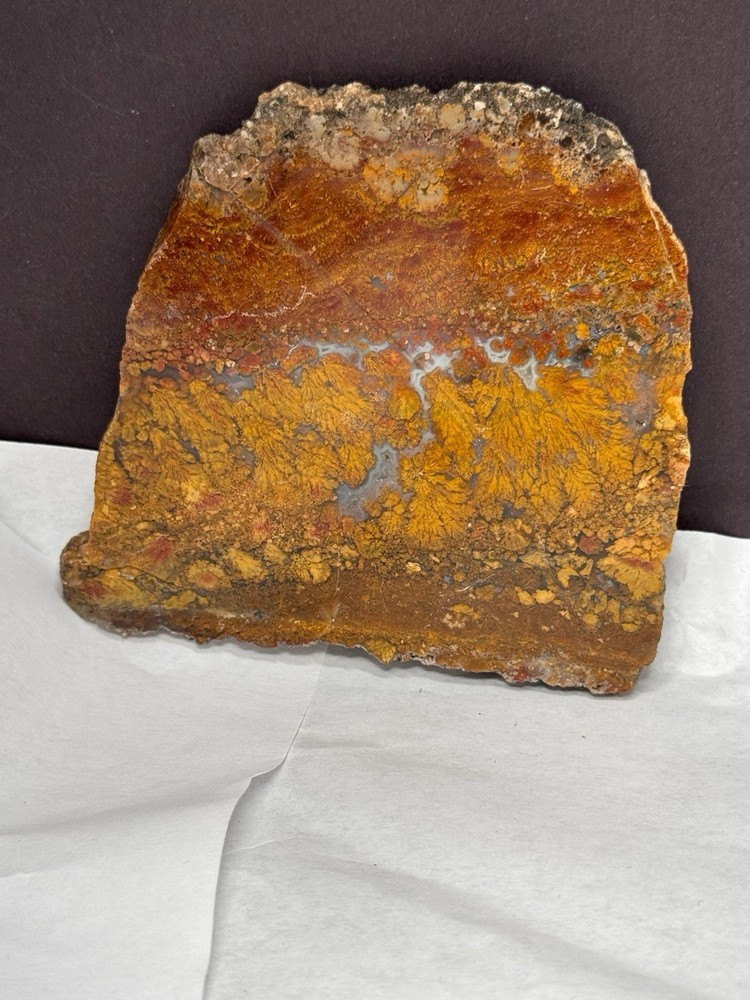 Jasper (Gecko Variscite) from Nevada