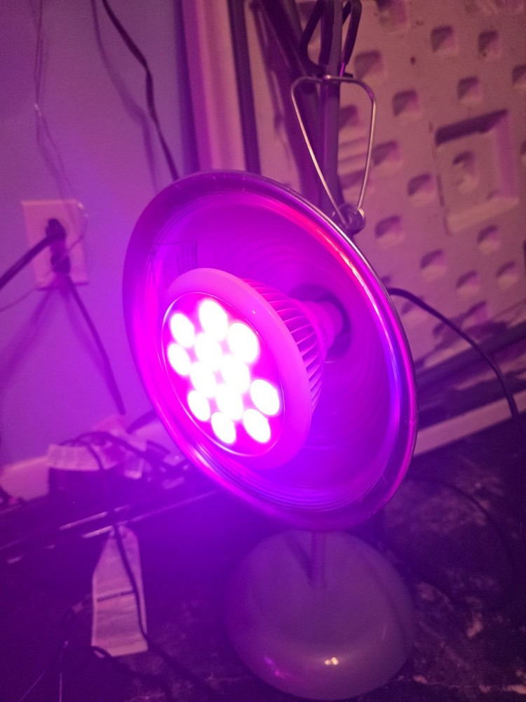 Grow Lights W/ Ballasts And Bulbs