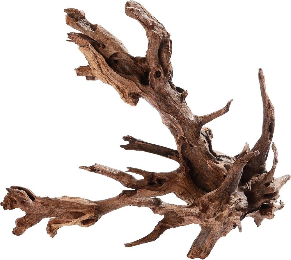 Unique Natural Driftwood for Aquariums
