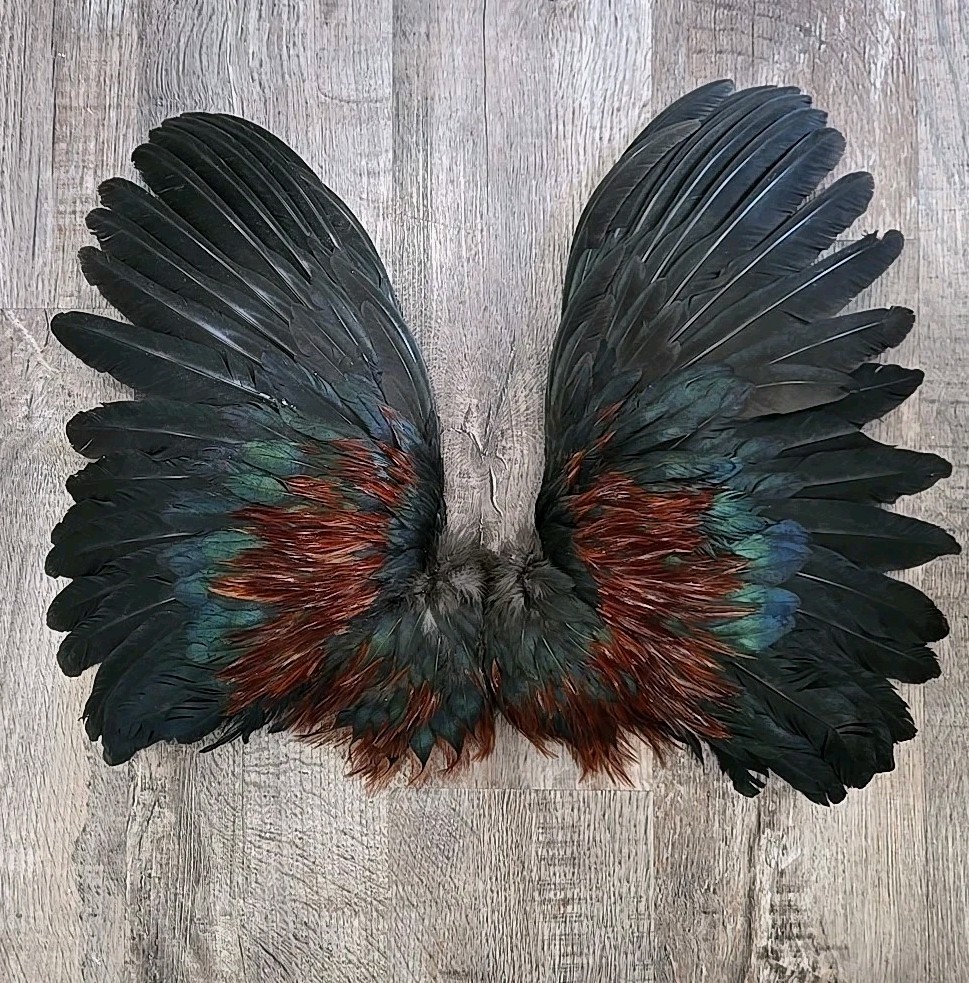 Red Brown Chicken Rooster Wings Craft Bird Fly Tying Feathers Taxidermy Material