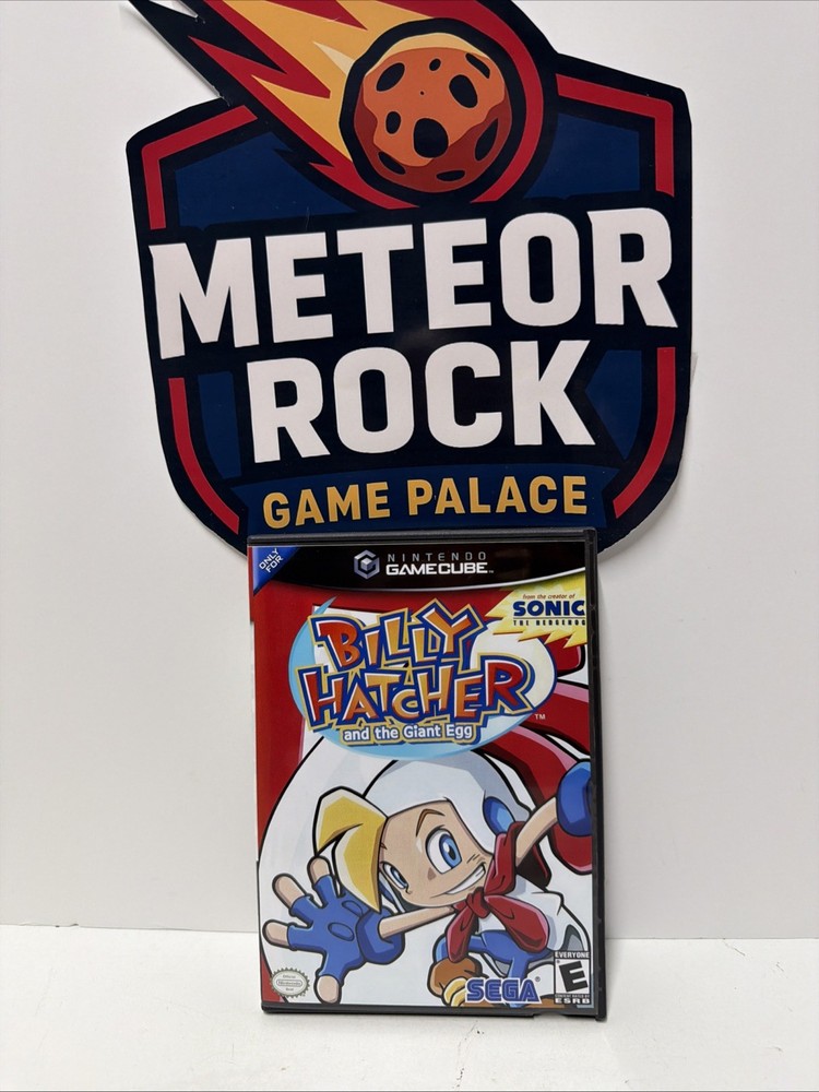 Billy Hatcher And The Giant Egg-Replacement GameCube Case Only-Game Not Included