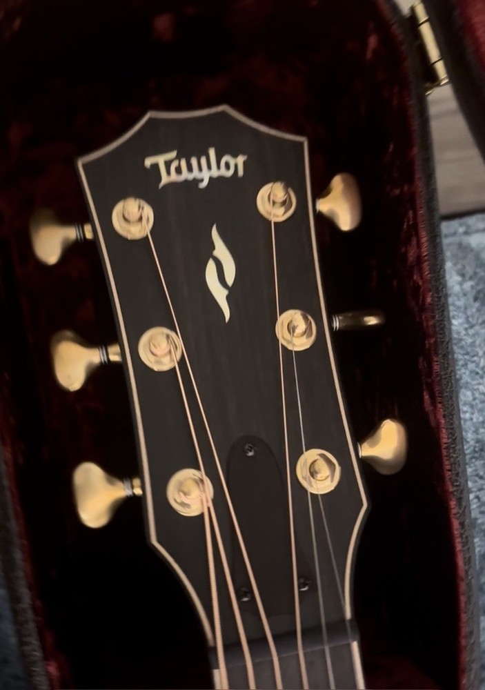 Taylor 814ce Builders Edition 50th