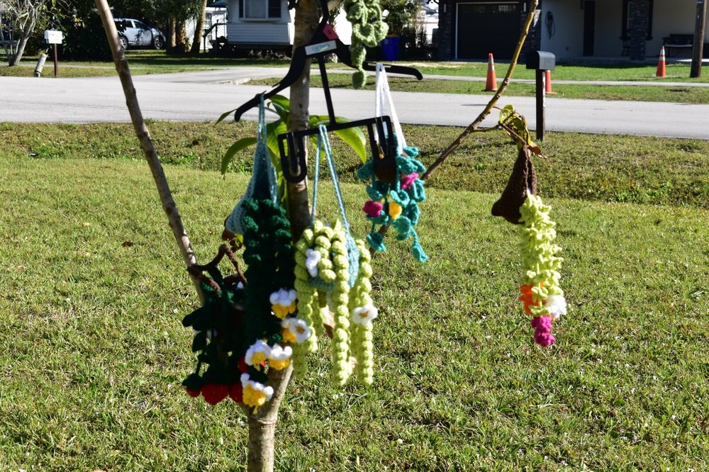 Hanging Crochet Plant