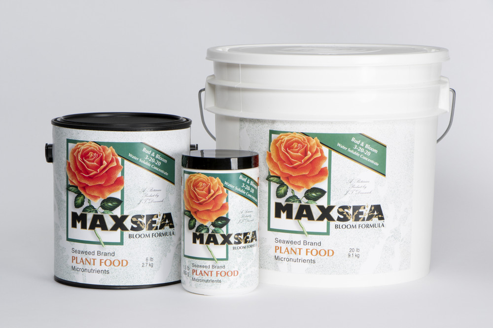 Maxsea Bloom 3-20-20 6#