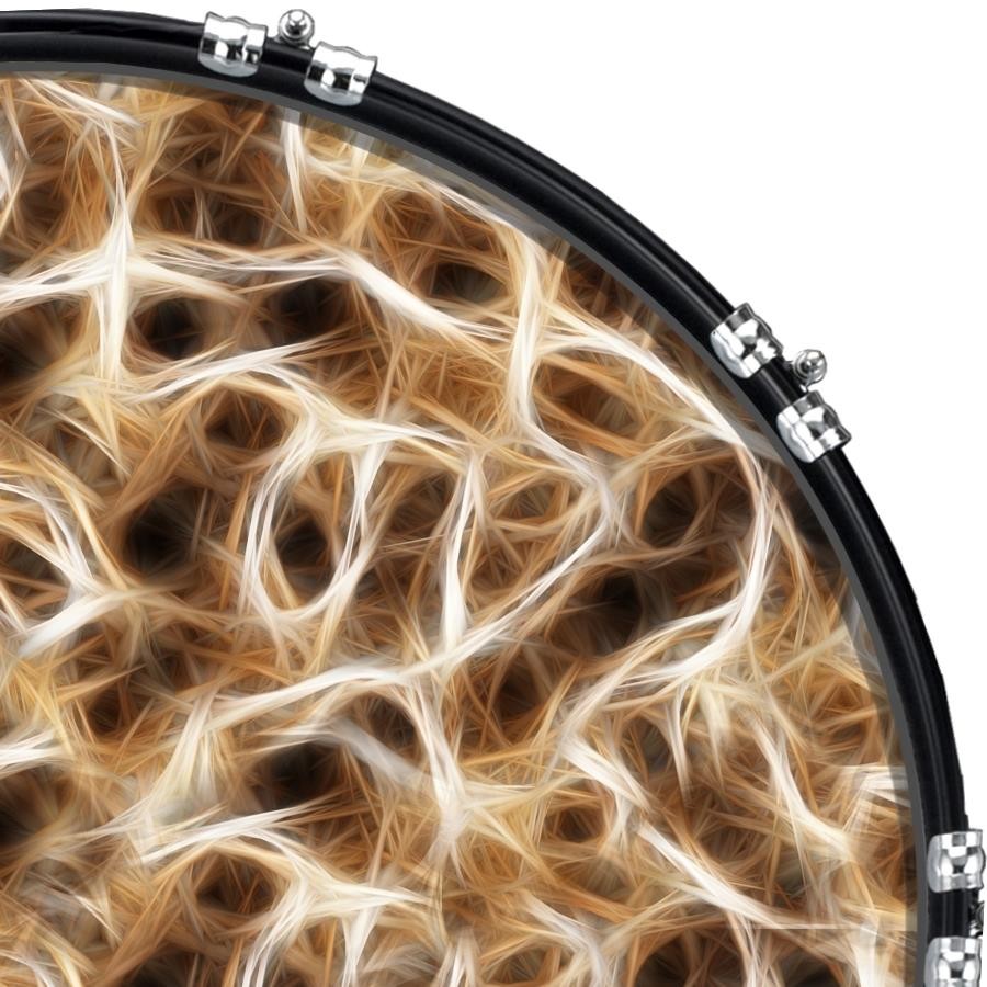 22" Custom Bass Kick Drum Front Head Graphic Graphical Nerves 2