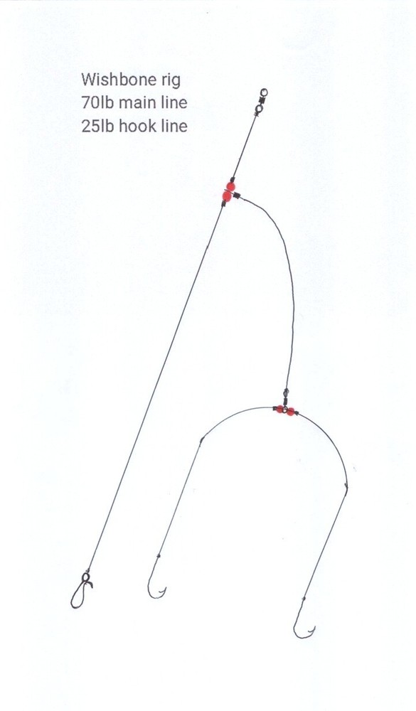 4 X No2 circle two hook wishbone rigs