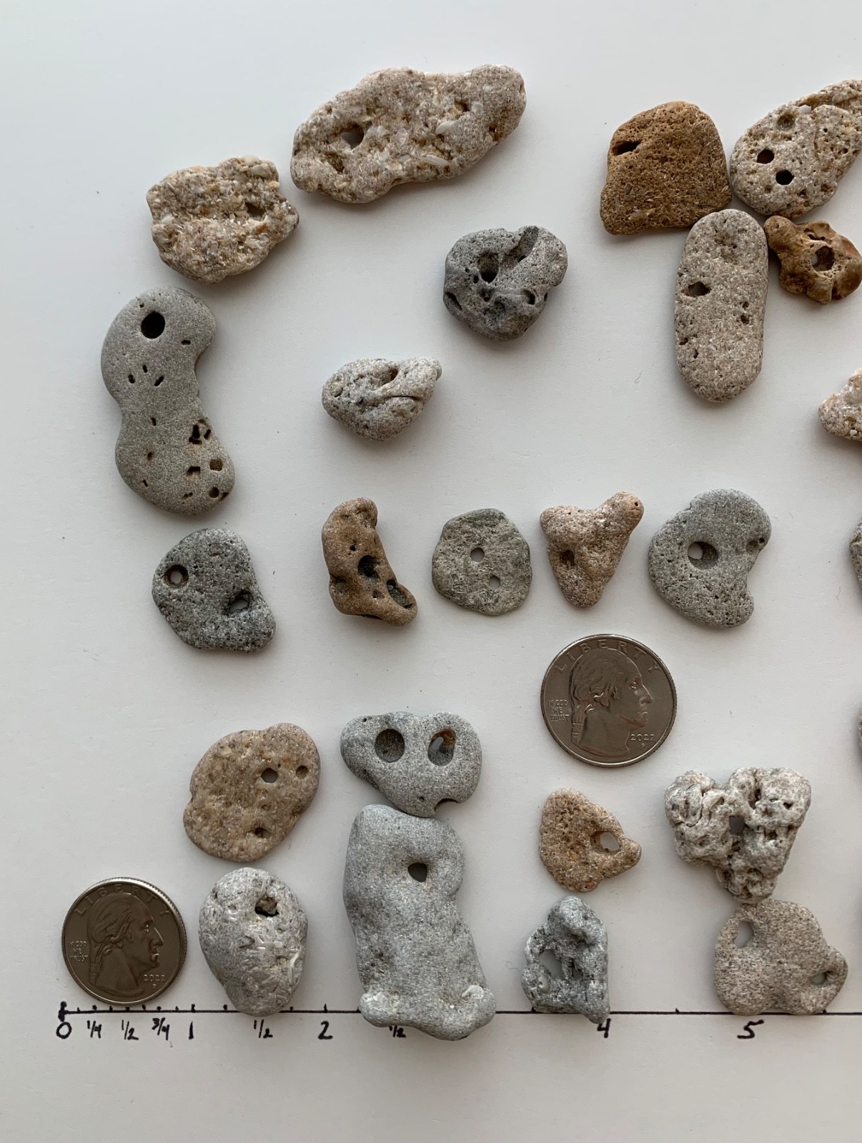 35 Adder Holey Beach Rocks Hag Stones Fairy Lucky Wish Magic Natural 1" #B1 US❤️